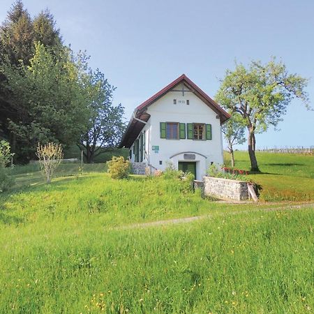 Haus In Strem Mit Panoramab, Βίλα Εξωτερικό φωτογραφία