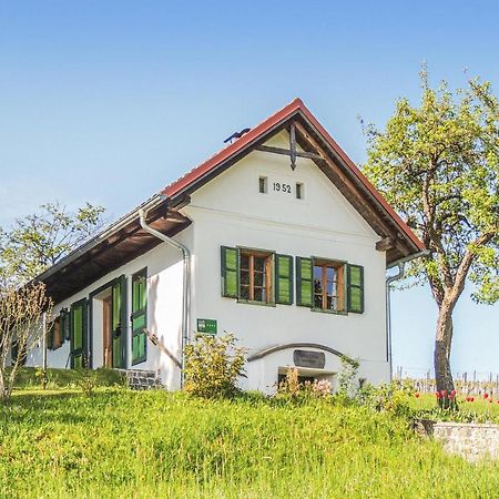 Haus In Strem Mit Panoramab, Βίλα Εξωτερικό φωτογραφία